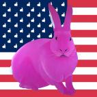 FLAG-ROSE GRIS PERLE FLAG rabbit flag Showroom - Inkjet on plexi, limited editions, numbered and signed. Wildlife painting Art and decoration. Click to select an image, organise your own set, order from the painter on line